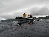 Isla del Coco - 158